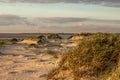 Dunes in the sunset at St. Peter Ording with the Westerhversand lighthouse in the background Royalty Free Stock Photo