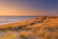Dunes at sunset on Texel island, The Netherlands Royalty Free Stock Photo