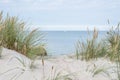 Dunes with swaying beach rye and a sailboat at the horizon Royalty Free Stock Photo