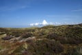 Dunes of Sylt island. Germany.