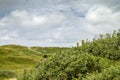 Dunes of Texel landscape