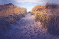 Through the dunes and to the beach