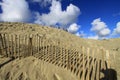Dunes of The Touquet Royalty Free Stock Photo