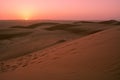 Dunes of the Wahiba Sand Desert at dawn