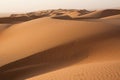 Dunes of the Wahiba Sand Desert at dawn Royalty Free Stock Photo