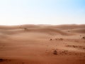 The dunes of the Wahiba Sands desert in Oman during a typical summer sand storm - 6 Royalty Free Stock Photo