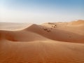 The dunes of the Wahiba Sands desert in Oman during a typical summer sand storm - 5 Royalty Free Stock Photo