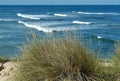 Dunes with white sand at Portugals west Atlantic coast Royalty Free Stock Photo