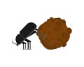 Dung beetle and dung ball isolated. vector illustration Royalty Free Stock Photo