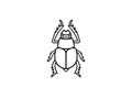 Dung beetle insect shape, sketch, outline or drawing isolated on white background.