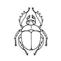 Dung beetle, scarabaeus, ancient egypt sacred symbol, black ink lines Royalty Free Stock Photo