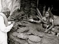 Dung cakes-India