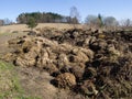 Dung pile