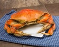 Dungeness Crab on a white plate Royalty Free Stock Photo