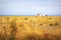 Dungeness Nature Reserve Kent England