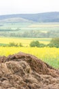 Dunghill besides a oilseed field