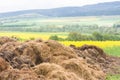 Dunghill besides a oilseed field