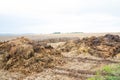 Dunghill besides a wheat field Royalty Free Stock Photo