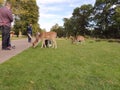 Dunham massey