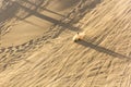 DUNHUANG, CHINA - AUGUST 21, 2018: Sand sledding at Singing Sands Dune near Dunhuang, Gansu Province, Chi Royalty Free Stock Photo