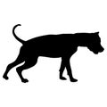 Dunker dog black silhouette on white background Royalty Free Stock Photo