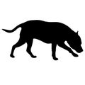Dunker dog black silhouette on white background Royalty Free Stock Photo