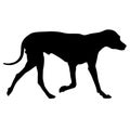 Dunker dog silhouette on a white background Royalty Free Stock Photo