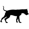 Dunker dog silhouette on a white background Royalty Free Stock Photo