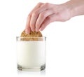 Dunking cookie in milk Royalty Free Stock Photo