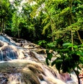 Dunn`s River Falls in Jamaica Royalty Free Stock Photo