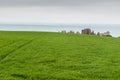 Dunnottar castle Royalty Free Stock Photo