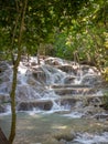 Dunns river falls flowing in forest Royalty Free Stock Photo