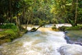 Dunns`s River Falls in Jamaica in the Dunn`s River Falls Park