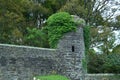 Dunollie Castle Tower Ruins with Lots of Tree Growth