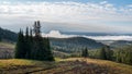 Dunraven pass with morning fog and a copse of trees in yellowstone