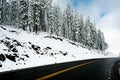 The road to Dunraven Pass on a frosty morning, Yellowstone NP