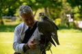 Falconry show at Dunrobin castle, Scotland Royalty Free Stock Photo