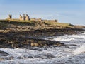 Dunstanburgh Castle on the Northumberland coast with copy space Royalty Free Stock Photo