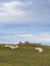 Dunstanburgh Castle on the Northumberland coast with copy space Royalty Free Stock Photo