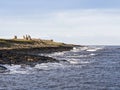 Dunstanburgh Castle on the Northumberland coast with copy space Royalty Free Stock Photo