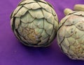 Duo of Artichokes Royalty Free Stock Photo