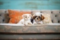 a duo of kittens and puppies on a cozy couch cushion Royalty Free Stock Photo