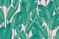 Duo tone colored banana leaves seamless pattern. Tropical leaf sketch Royalty Free Stock Photo