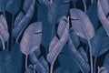 Duo tone colored banana leaves seamless pattern. Tropical leaf sketch Royalty Free Stock Photo