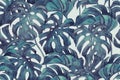 Duo tone colored monstera leaves seamless pattern. Tropical leaf sketch