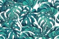 Duo tone colored monstera leaves seamless pattern. Vibrant background Royalty Free Stock Photo