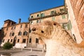 Duomo Square - Verona Italy