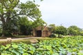 Duong Lam ancient village in Hanoi