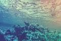 Duotone faded photograph of underwater coral reef