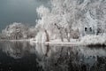 Duotone infrared lake Royalty Free Stock Photo